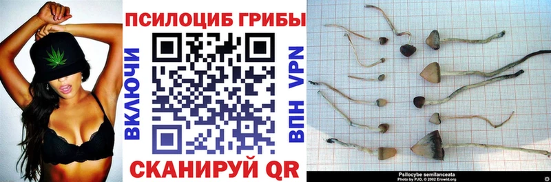 blacksprut ТОР  Северобайкальск  Псилоцибиновые грибы мухоморы 